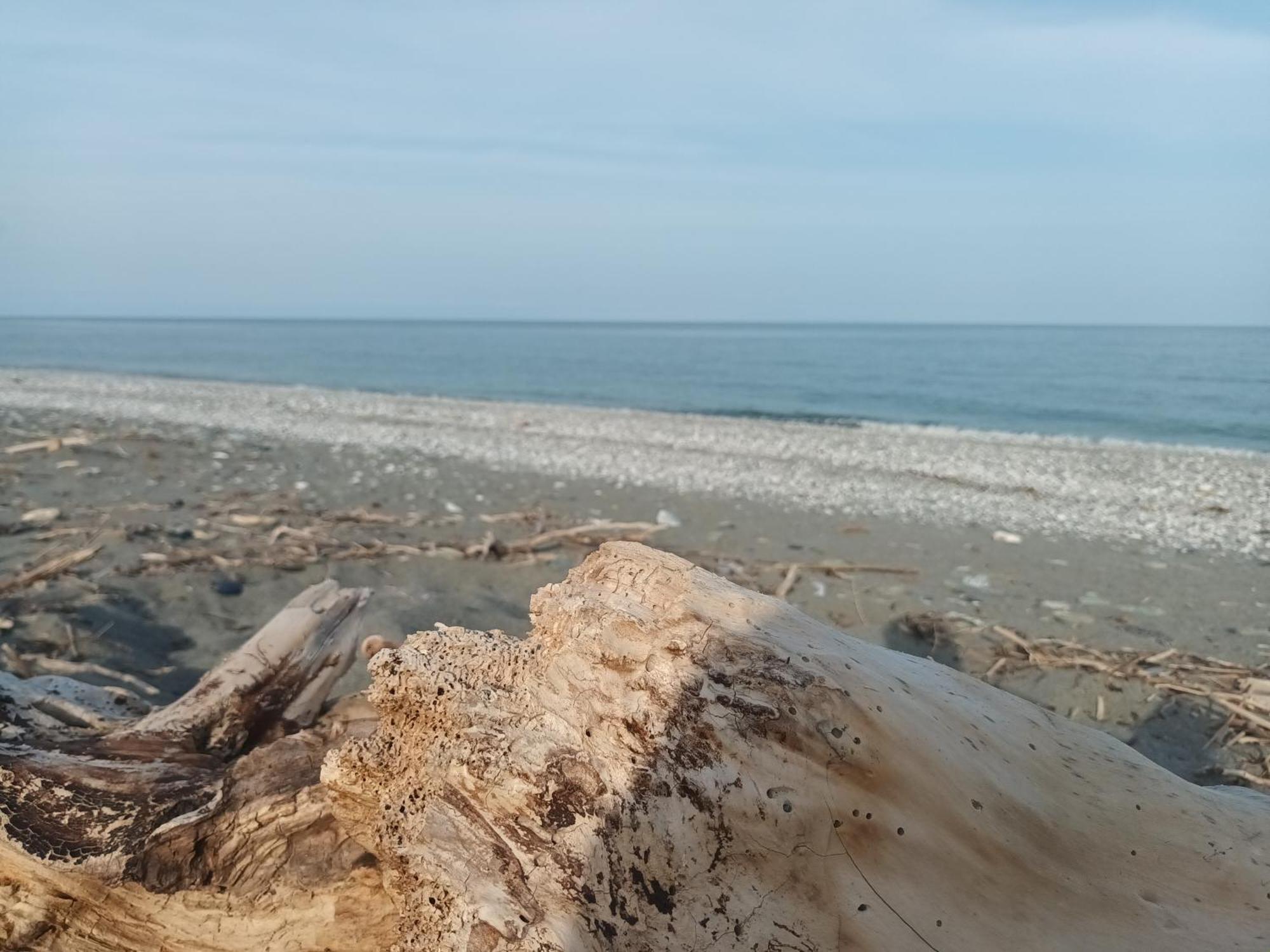 Velika Beach Rooms Zewnętrze zdjęcie
